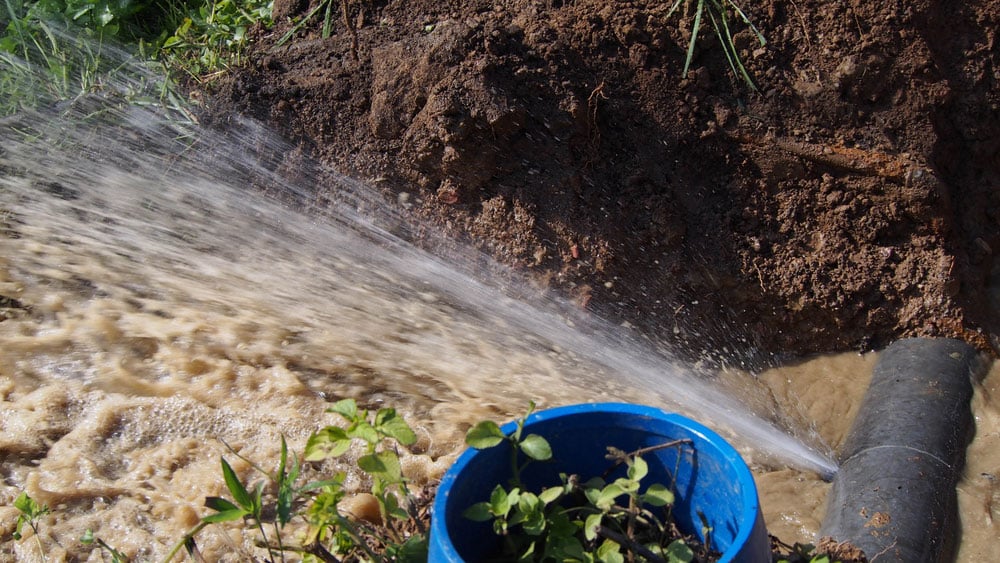 Water Loss Nz