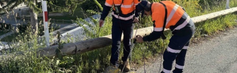 Nz Water Loss Investigation