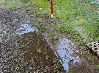 Poly vinyl water pipe leak detection on green grassy ground — Water Management Near Me in NSW